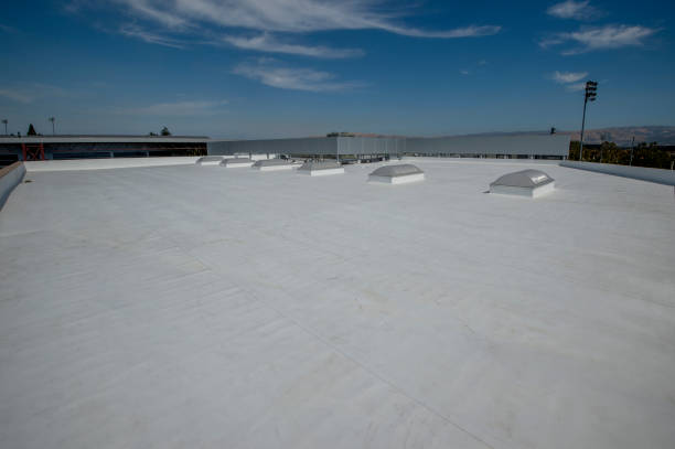 Best Roof Leak Repair  in Douglas, WY